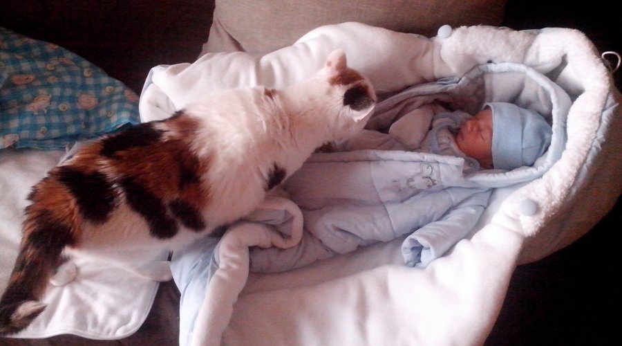 Sergey Vyacheslavovich